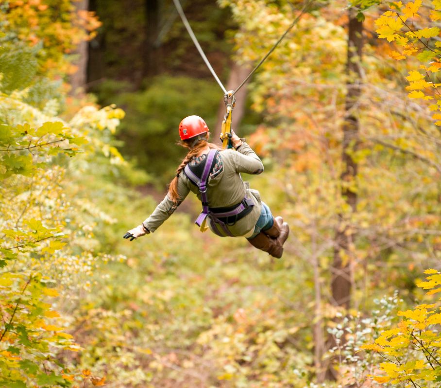 Treetop Zipline Tour Fall treetop zipline tour